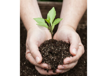 Топырақ құнарын сақтаудың тиімді жолы