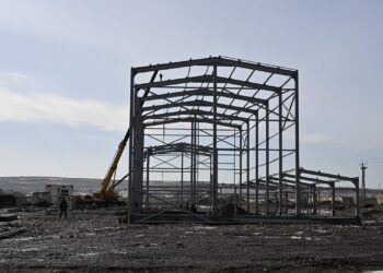 Талдықорғанда майлы дақылдарды өңдейтін зауыттың құрылысы жүріп жатыр