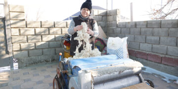 Жаркенттік кәсіпкер қой жүнін кәдеге жаратуда