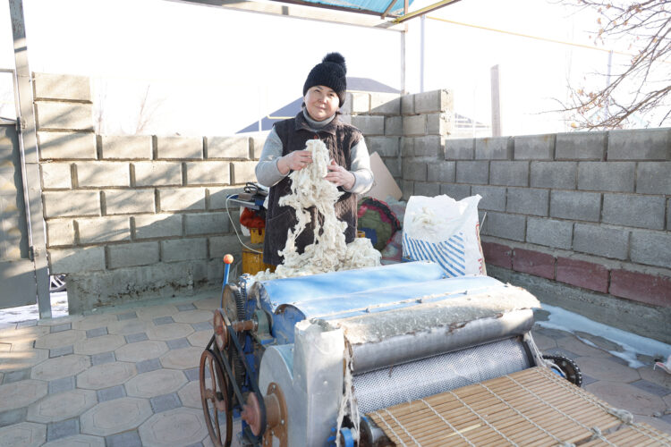 Жаркенттік кәсіпкер қой жүнін кәдеге жаратуда