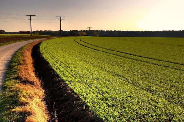 Ел игілігін еселейтін қадам