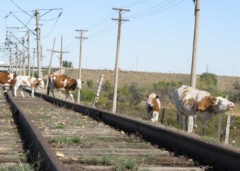 Теміржол қауіпсіздігі ережелері