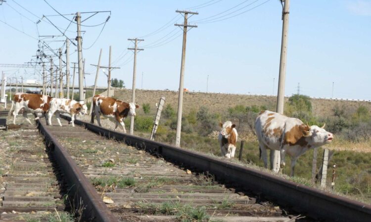 Теміржол қауіпсіздігі ережелері