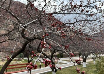 Қазақстанда күн жылына бастайды