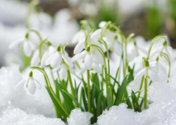 Наурыз айында ауа райы қандай болады?