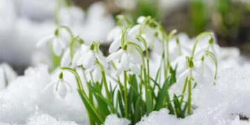 Наурыз айында ауа райы қандай болады?