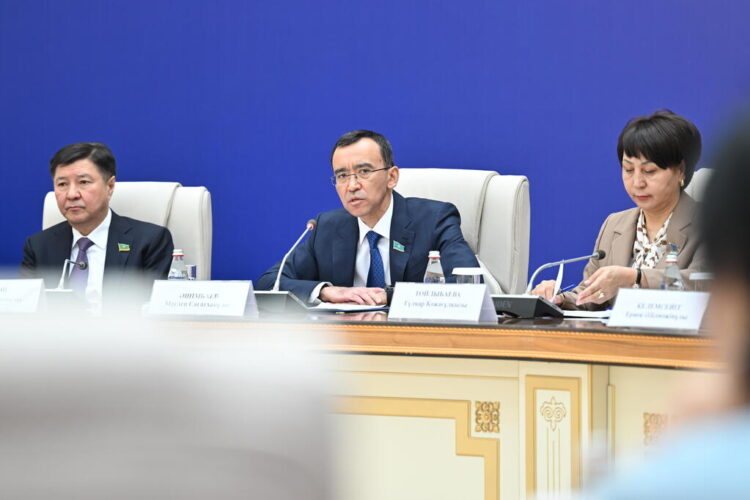 Мәулен Әшімбаев: «Жаңа Конституция – Президенттің елді жүйелі жаңғырту бағдарының тарихи кезеңі»