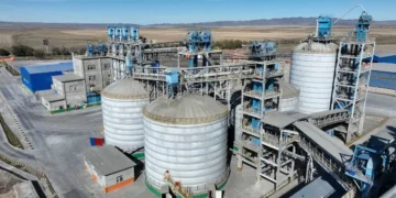 Жетісудағы қытайлық зауытқа 264 миллион теңге айыппұл салынды