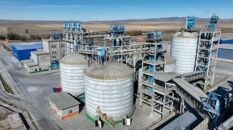 Жетісудағы қытайлық зауытқа 264 миллион теңге айыппұл салынды