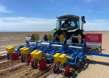 Жетісуда көктемгі дала жұмыстары қарқынды жүруде