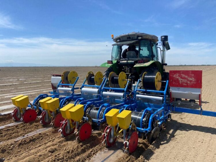 Жетісуда көктемгі дала жұмыстары қарқынды жүруде