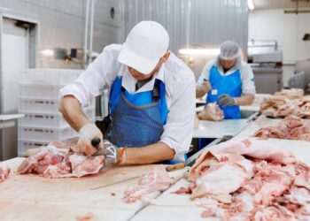 Өрісі кең ет өндірісі