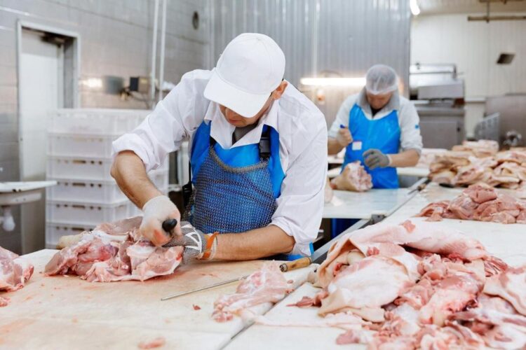 Өрісі кең ет өндірісі