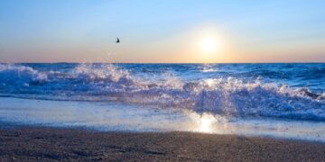 Балқаш жағалауындағы жаңа демалыс орындары: Жетісуда үш коммуналдық жағажай ашылады