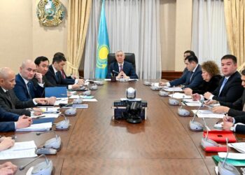 Жеңіл өнеркәсіпті дамытудың кешенді бағдарламасы әзірленеді