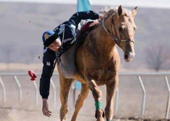 Жетісу облысында Ұлттық спорт күні атап өтілді