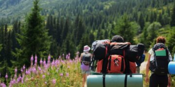 Экотуризм: Ұлттық парктер мен қонақ үйлер жаңа деңгейге көтерілді