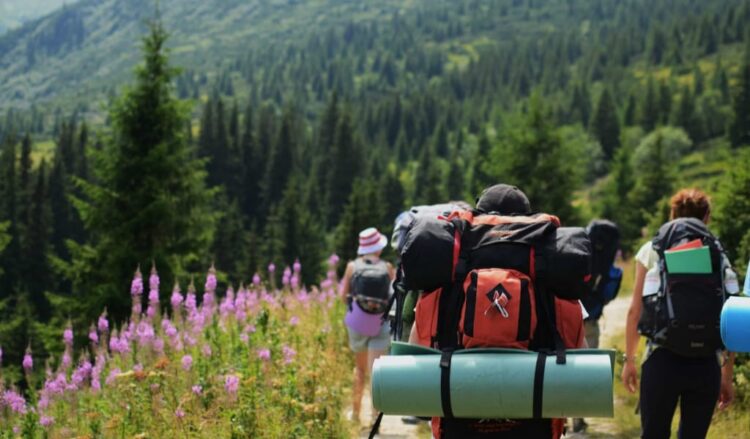 Экотуризм: Ұлттық парктер мен қонақ үйлер жаңа деңгейге көтерілді