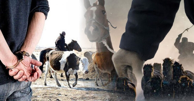 Жетісуда мал ұрлығы үшін көлікті тәркілеу жиіледі