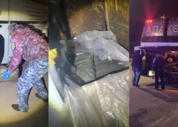 Жетісуда 4 қап балық тасымалдаған жүргізуші ұсталды