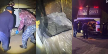 Жетісуда 4 қап балық тасымалдаған жүргізуші ұсталды