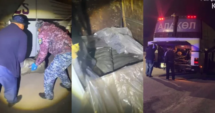 Жетісуда 4 қап балық тасымалдаған жүргізуші ұсталды