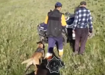 Жетісуда жоғалған 72 жастағы ер адам дрон көмегімен табылды