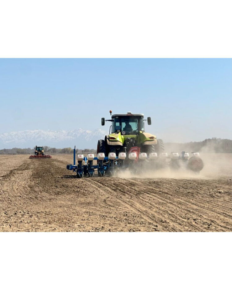 Дала жұмыстары қарқын алды