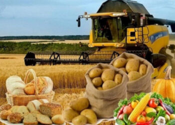 Азық-түлік өндірісі қарқын алды: өсім 11,9 пайызға жетті