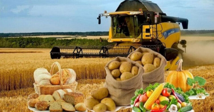 Азық-түлік өндірісі қарқын алды: өсім 11,9 пайызға жетті