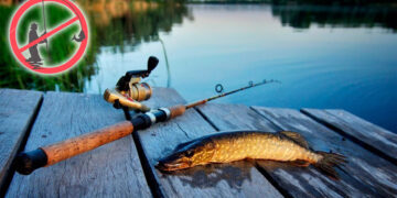 Жетісуда «Нерест» акциясы басталды