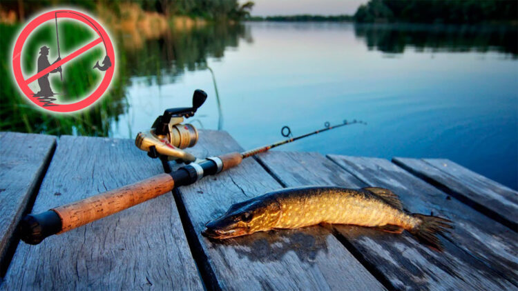 Жетісуда «Нерест» акциясы басталды