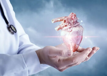 4,6 мың қазақстандық ағза алмастыруға мұқтаж