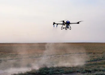 Шегірткеге қарсы күреске дрон дес бере ме?!