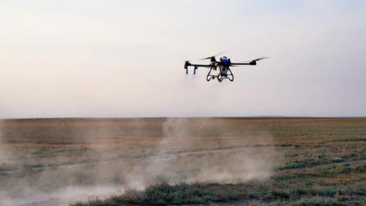 Шегірткеге қарсы күреске дрон дес бере ме?!