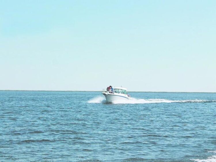 Балқаш жағалауындағы жер телімдері аукционға шығарылды