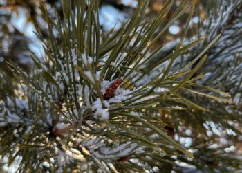 7-9 сәуірде елдің басым бөлігінде бұршақ пен дауыл болуы мүмкін