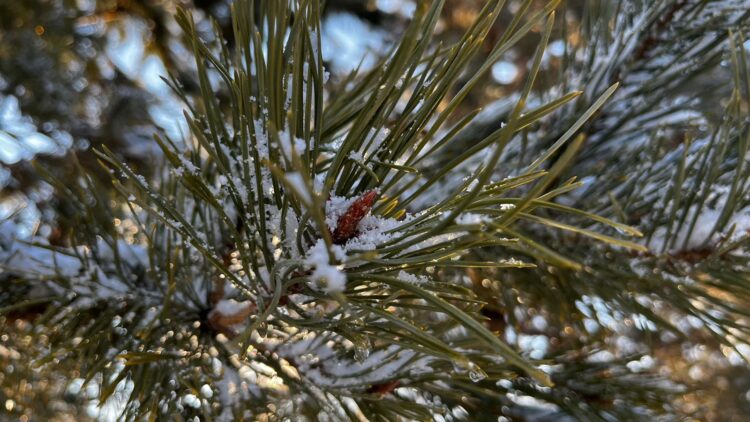 7-9 сәуірде елдің басым бөлігінде бұршақ пен дауыл болуы мүмкін