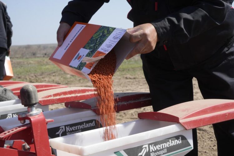 Жетісуда 13 мың гектарға қант қызылшасын себу жұмысы басталды