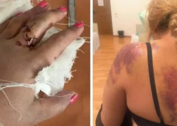 Ақсу ауданында қылмыстық іс: әйелге шабуыл жасалды