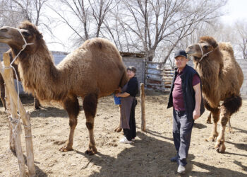 Мұқаншы – береке мен бірліктің мекені