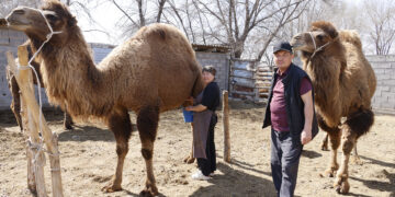 Мұқаншы – береке мен бірліктің мекені