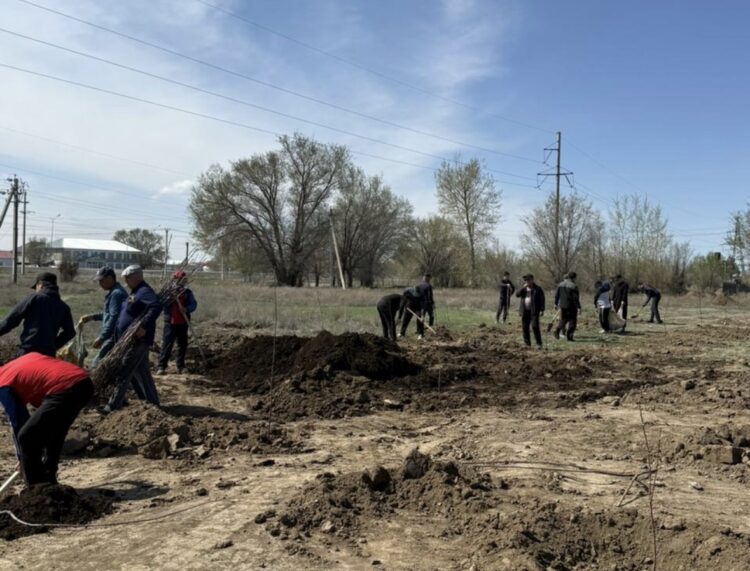 Алакөлде «Таза қала» экологиялық акциясы өтті