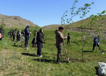 «Таза Қазақстан»: «Қызылтас–Тасбақа» шатқалында экологиялық акция өтті