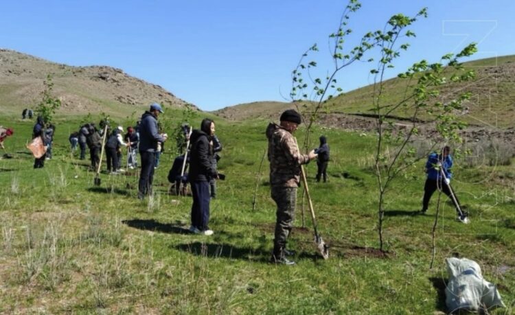 «Таза Қазақстан»: «Қызылтас–Тасбақа» шатқалында экологиялық акция өтті