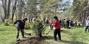 Текелідегі тазалық таңы: Қора өзенінің жағалауына 250 түп ағаш егілді