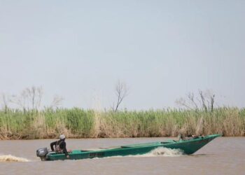 Өзенді өлкеде балық аулауға ресми түрде шектеу қойылды