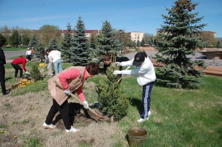 «Таза Қазақстан»: Жетісуда 100 тоннадан астам қоқыс шығарылып, мыңдаған ағаш егілді