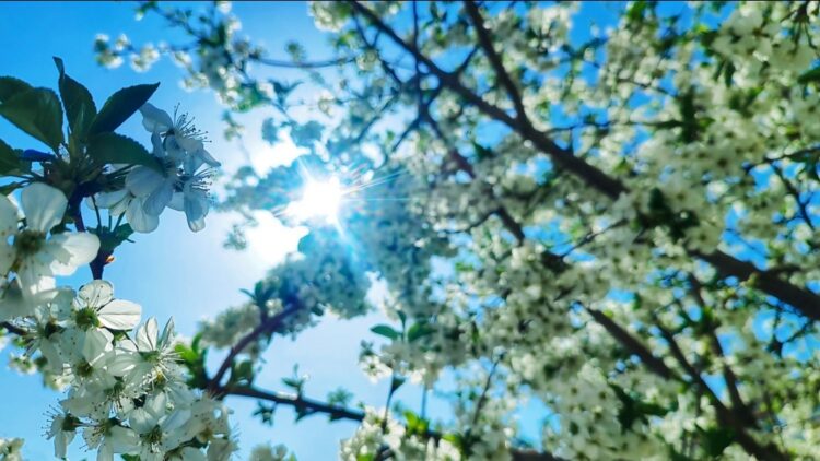 Синоптиктер күн райын болжады