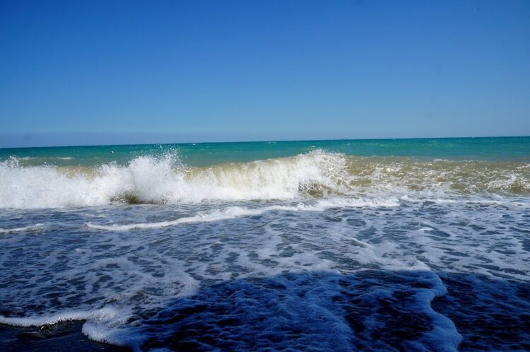 Алакөлде жағалауды қоқыстан арылтатын жаңа кәсіпорын құрылды